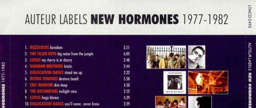 O outro lado do indie anos 80 de Manchester: New Hormones