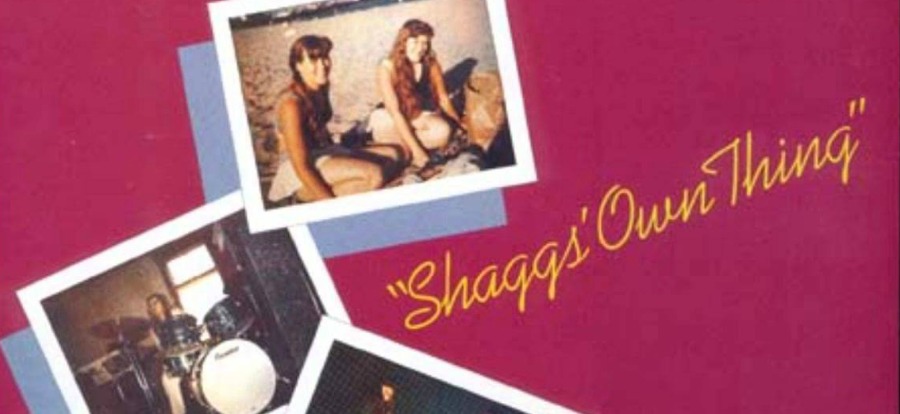 Teve um segundo disco das Shaggs, gravado em 1975