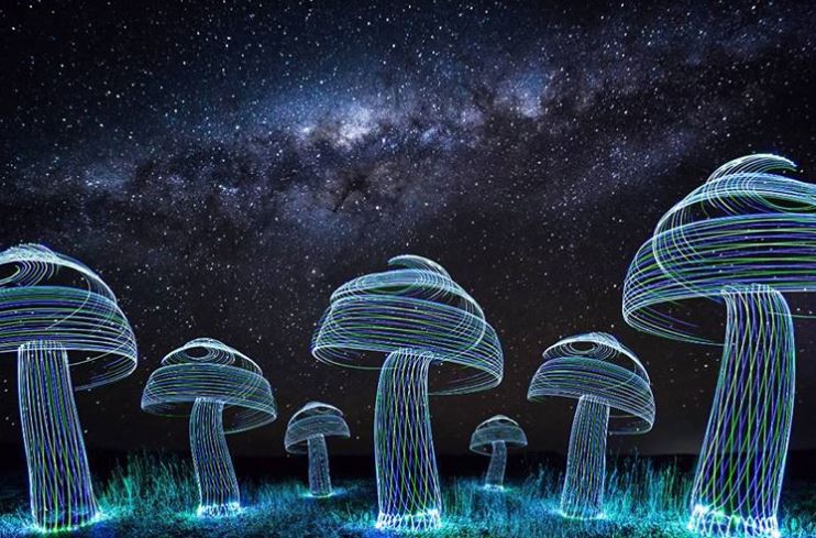 Light painting: cogumelos virtuais no seu quintal