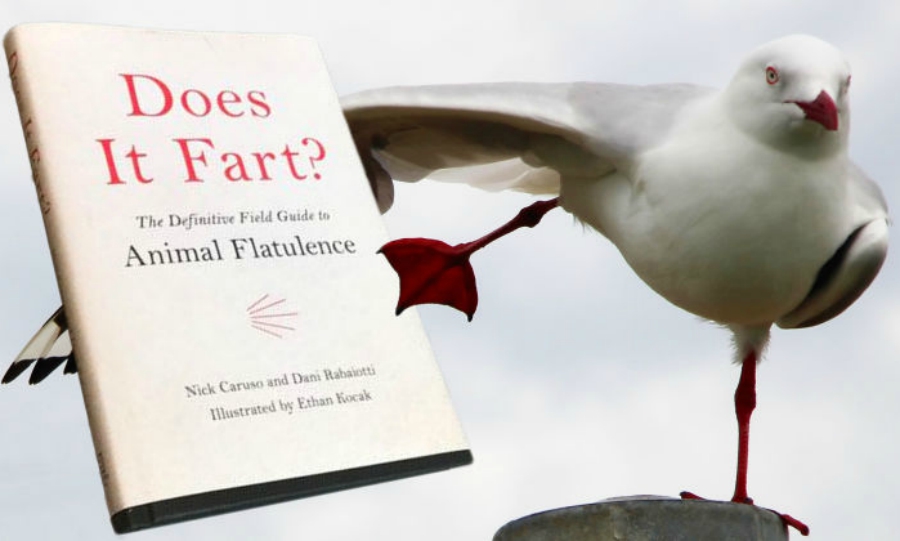 Um livro que explica como os animais peidam