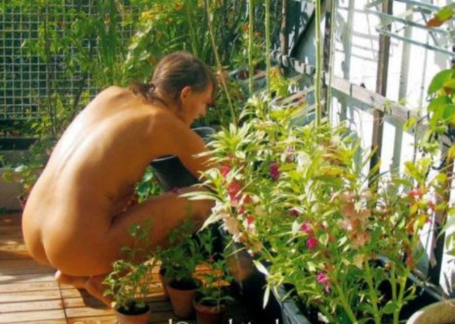 World Naked Gardening Day: tire a roupa e cuide do seu jardim