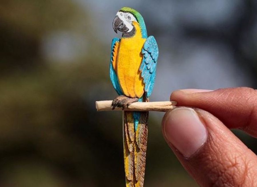 365 Dias de Miniatura de pássaros no Instagram