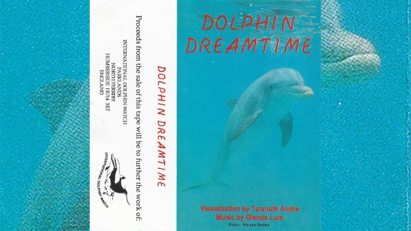 Meditando com golfinhos (!) nos anos 1980