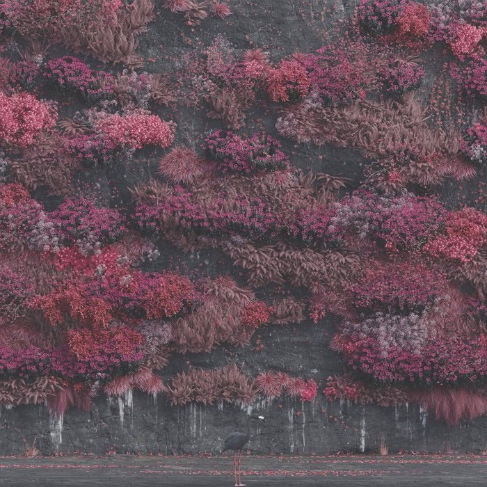 Ouvimos: Sleep Token - "Even in Arcadia"