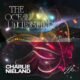 Ouvimos: Charlie Nieland - "The ocean understands" (EP)