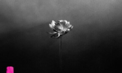 Ouvimos Little Simz - "Lotus"
