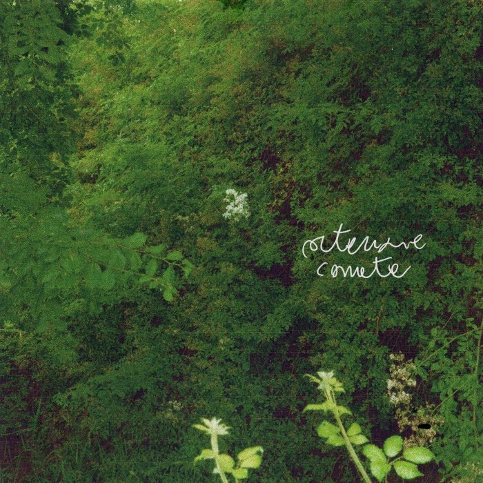 Ouvimos: Merli Armisa - "Ortensie comete"