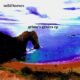 Ouvimos: Mild Horses - "Grime's graves" (EP)
