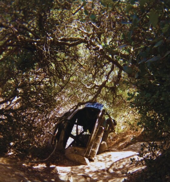 Ouvimos: Ty Segall - "Possession"