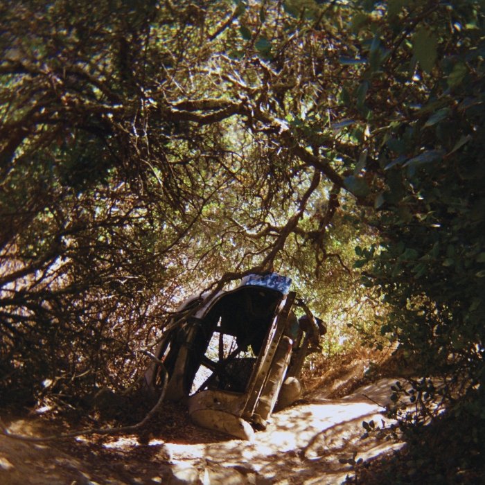 Ouvimos: Ty Segall - "Possession"