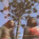 O 43duo mistura pós-punk e psicodelia com naturalidade no EP Sã verdade, unindo grooves, ecos 60s/80s e letras poéticas e instintivas.