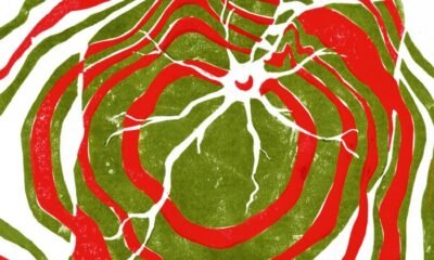 Em Raspberry moon, o Hotline TNT acerta ao misturar noise, power pop esquisito e guitarras noventistas com letras simples e clima quase emo.