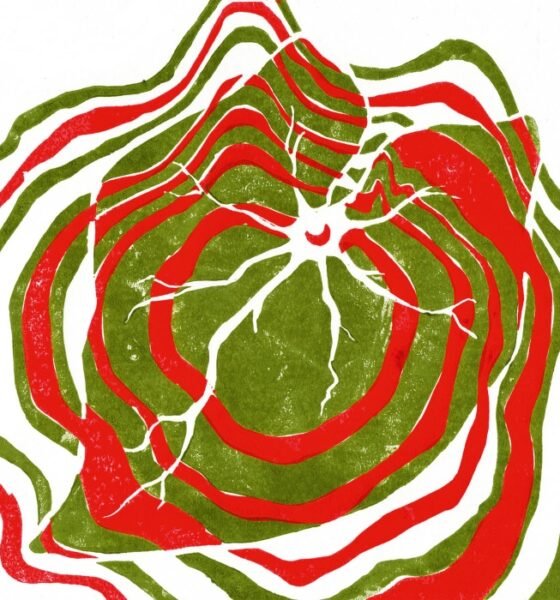 Em Raspberry moon, o Hotline TNT acerta ao misturar noise, power pop esquisito e guitarras noventistas com letras simples e clima quase emo.