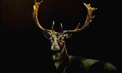 Em Wild and hunted things, Mark Wilkinson investe em folk minimalista e melancólico, mas só brilha quando ousa fugir do lugar-comum.