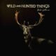 Em Wild and hunted things, Mark Wilkinson investe em folk minimalista e melancólico, mas só brilha quando ousa fugir do lugar-comum.