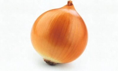 Com novo nome, o Hard Life lança Onion, disco que mistura rap, indie pop e folk pra falar de dor, crise e relações tortas.