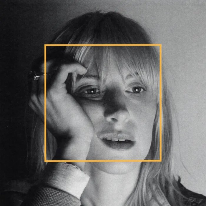 Capa de "Ego death at a bachelorette party", de Hayley Williams
