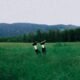 Katie Gregson-MacLeod lança EP independente de folk-rock sensível, misturando chamber pop, indie e ecos de Pretenders, Beatles e Joni Mitchell.