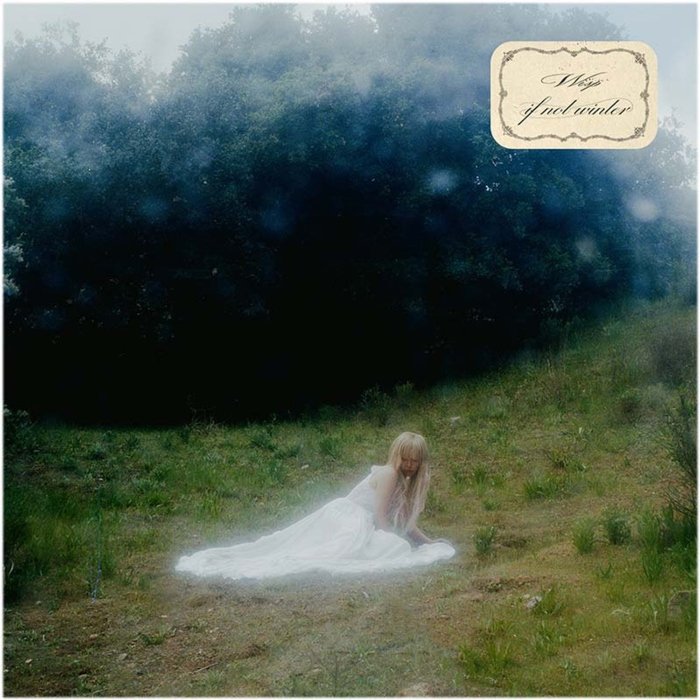 Wisp (codinome de Natalie Yu) estreia com If not winter: shoegaze doce e distorcido, entre Cocteau Twins, partículas de metal e detalhes de produção pop.