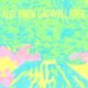 De volta após dez anos, o Algernon Cadwallader une desespero emo e beleza melódica em um disco intenso, político e cheio de guitarras vivas.