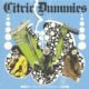 Zoação punk de alto nível: no novo Split with turnstile, o Citric Dummies mistura humor, raiva e hardcore em 20 minutos de caos divertido.