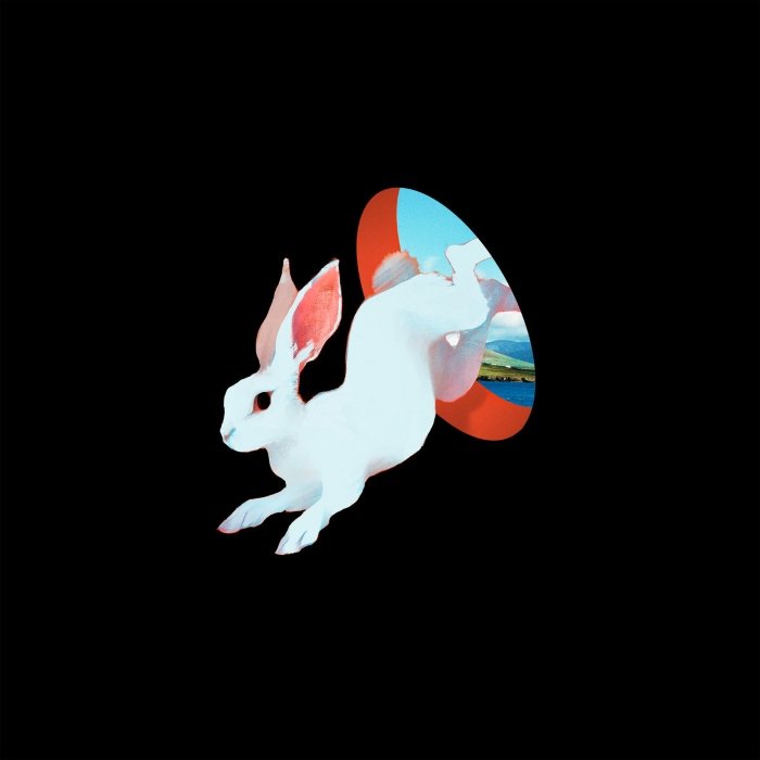 Em Animal hospital, o Ganser mistura pós-punk, ruído e psicodelia em climas sombrios e inquietos, entre Twin Peaks e Siouxsie and The Banshees.