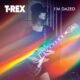 1975 foi um ano difícil para Marc Bolan (1947-1977), líder da banda glam britânica T. Rex. Seu grupo ainda tinha bastante prestígio, mas não vendia mais discos como antes