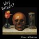 Em Case studies, o Why Bother? mistura punk, garage e psicodelia suja em faixas que soam como pesadelos gravados numa garagem assombrada.