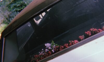 Piat Falio mistura indie, pós-punk e rock carioca com vibração bedroom; faixas cheias de energia e boas ideias mostram um projeto que pode ir longe.