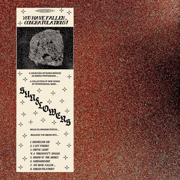 Sunflowers misturam garage, indie, surf e no wave num disco feroz: riffs à la Black Sabbath, barulho gelado, psicodelia suja e pancadas egg punk.