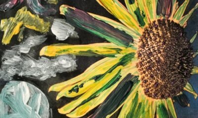 YC, disco do Young Couple, mistura art rock, psicodelia, dream pop e clima gótico, entre ambiência gelada e rupturas progressivas.