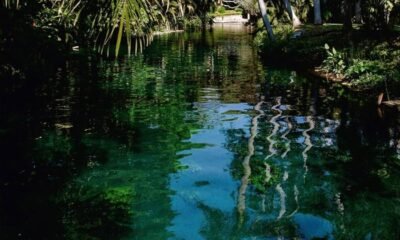 Africa Express cruza sons afro-latinos em Bahidorá, gravado no México, misturando hip hop, reggaeton, jazz e pop colaborativo sem diluir identidades.