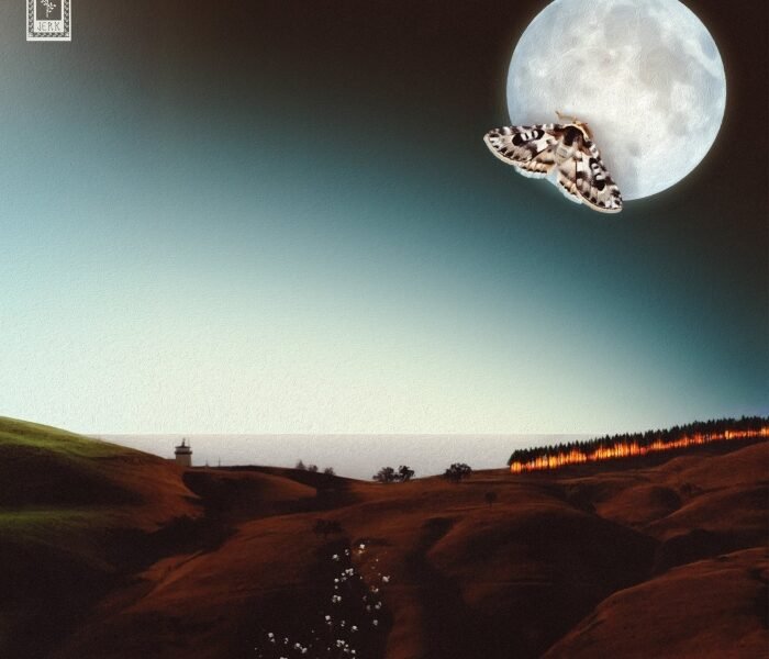 Jerk mistura soul, smooth jazz, city pop e MPB instrumental em um álbum curto e hipnótico, cheio de fusão psicodélica, clima noturno e achados sonoros.