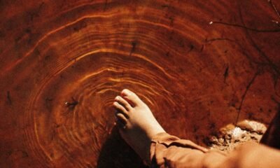 Sensações, EP da paulista Josie, mistura brasilidades e vibes ligadas a estilos como post rock, dream pop e synthpop em uma viagem existencial da Confusão à Luz.