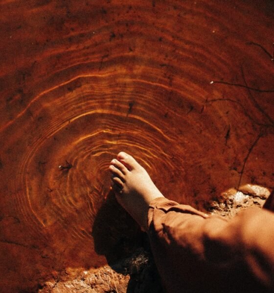 Sensações, EP da paulista Josie, mistura brasilidades e vibes ligadas a estilos como post rock, dream pop e synthpop em uma viagem existencial da Confusão à Luz.