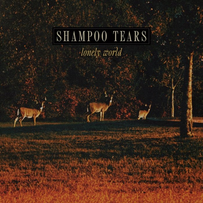 Dream pop de Pittsburgh: o Shampoo Tears mistura Jesus and Mary Chain sem ruído, Beach Boys, New Order e Ultravox em Lonely world.