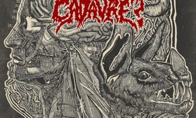 No disco Como nascem os monstros, o Manger Cadavre? usa crust metal brutal e arranjos belos para atacar capitalismo e big techs, com horror, peso e letras em português.