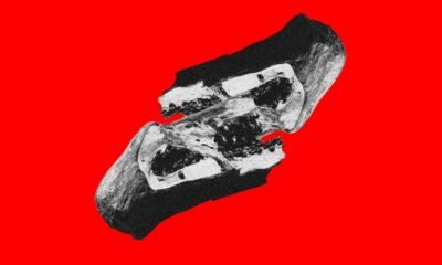 Em VIDAMORTECONTEÚDO, o Molho Negro cruza punk, power pop e hard rock para discutir fama, grana e a música virando conteúdo de feed.