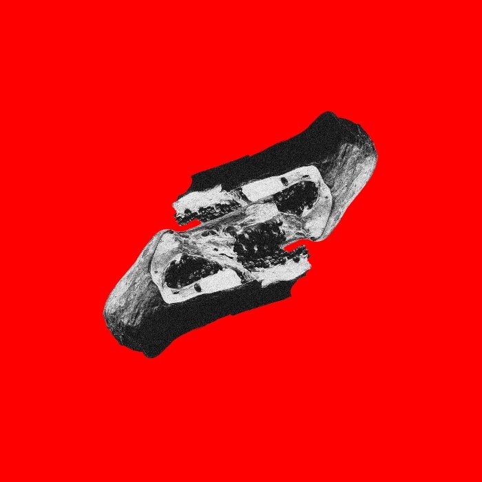 Em VIDAMORTECONTEÚDO, o Molho Negro cruza punk, power pop e hard rock para discutir fama, grana e a música virando conteúdo de feed.