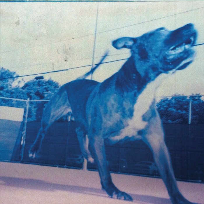 Em seu álbum de estreia, o Still Blank mistura shoegaze, noise e soft rock em canções nubladas e elegantes, com ecos de PJ Harvey e Radiohead.