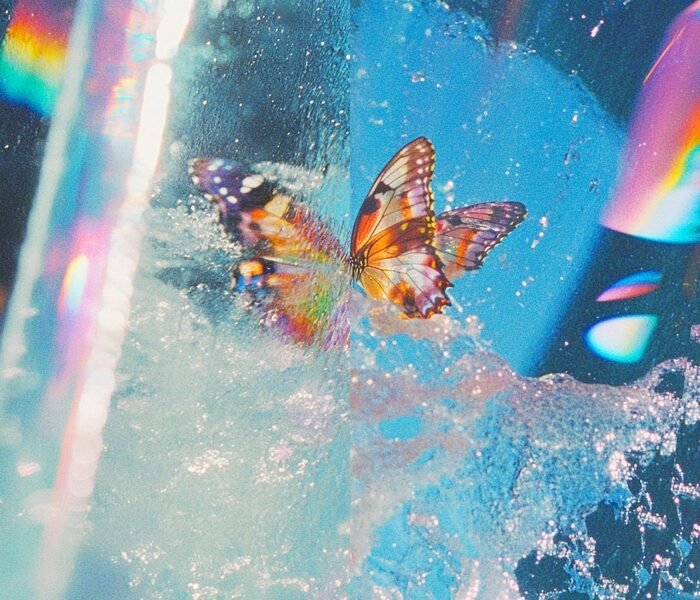 Butterfly, de Daphini, mistura house ácida, psicodelia e rascunhos dançantes nas várias faces de Dan Snaith, criador do projeto.