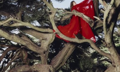 Hannah Frances mistura folk e prog: ecos de Joni Mitchell, Judee Sill e Gentle Giant em Nested in tangles, disco sombrio sobre luto, dor familiar e confiança reconstruída.