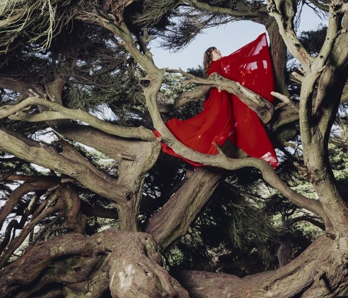 Hannah Frances mistura folk e prog: ecos de Joni Mitchell, Judee Sill e Gentle Giant em Nested in tangles, disco sombrio sobre luto, dor familiar e confiança reconstruída.