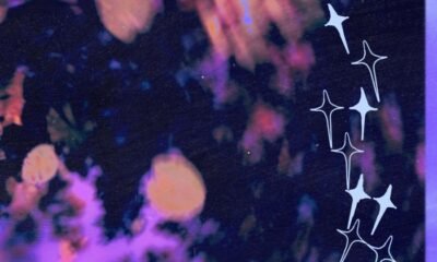 Banda australiana Rocket Rules estreia com Dearden’s number: dream pop/shoegaze nostálgico, guitarras em nuvem, clima 60s/1985 e charme caseiro.