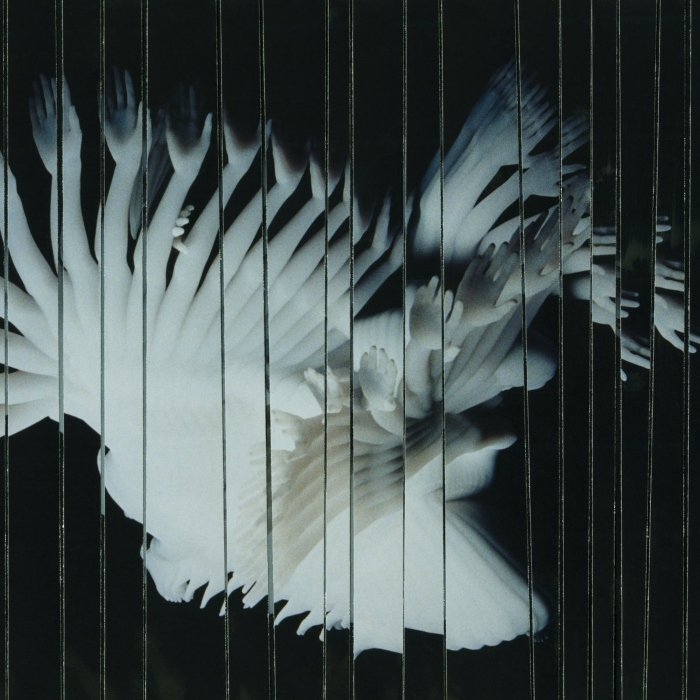 O Scaler mistura drum’n bass, trip hop e rock em Endlessly: som tenso e fragmentado, mais sensação de perigo que caos, entre post-rock e gótico eletrônico.