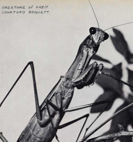 E saiu Creature of habit. Courtney Barnett transforma traumas e memórias em autoconhecimento num disco de soft rock introspectivo, texturizado e bem resolvido.