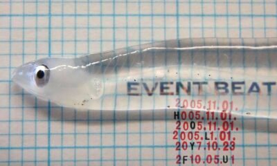 Holy Fuck mistura eletrônico, pós-punk e experimental em Event beat, disco hipnótico e dançante, com ruído, psicodelia e clima sombrio.