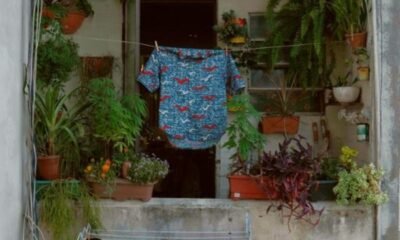 Em Broto, João Pedro Cé mistura samba, reggae, jazz e psicodelia afro-brasileira num clima solar, com ecos de Nação Zumbi e liberdade ritual.