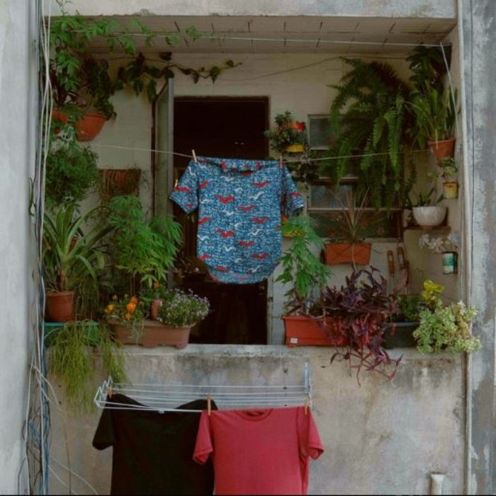 Em Broto, João Pedro Cé mistura samba, reggae, jazz e psicodelia afro-brasileira num clima solar, com ecos de Nação Zumbi e liberdade ritual.