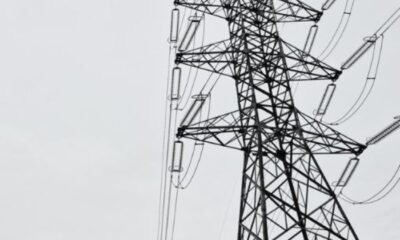 No EP Neurose, a banda Madremonte faz punk garageiro cru, entre Ramones, Iggy e letras irônicas do cotidiano.